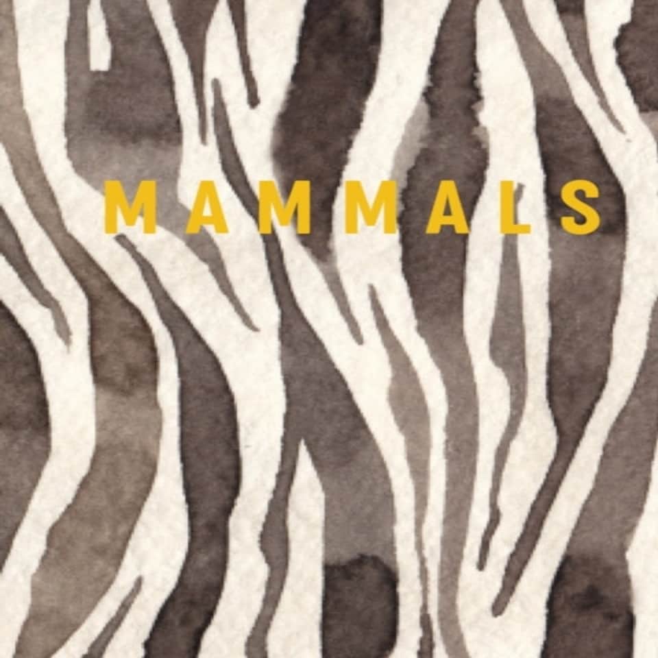Luxe Nature Mammals Luxe Series Hb