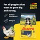 image 2 of Josera Junior Kids complete puppy food | Gluten-free | Medium & large breeds | Lots of meat | Optimal development | Omega 3 from Salmon Oil | 0.9kg