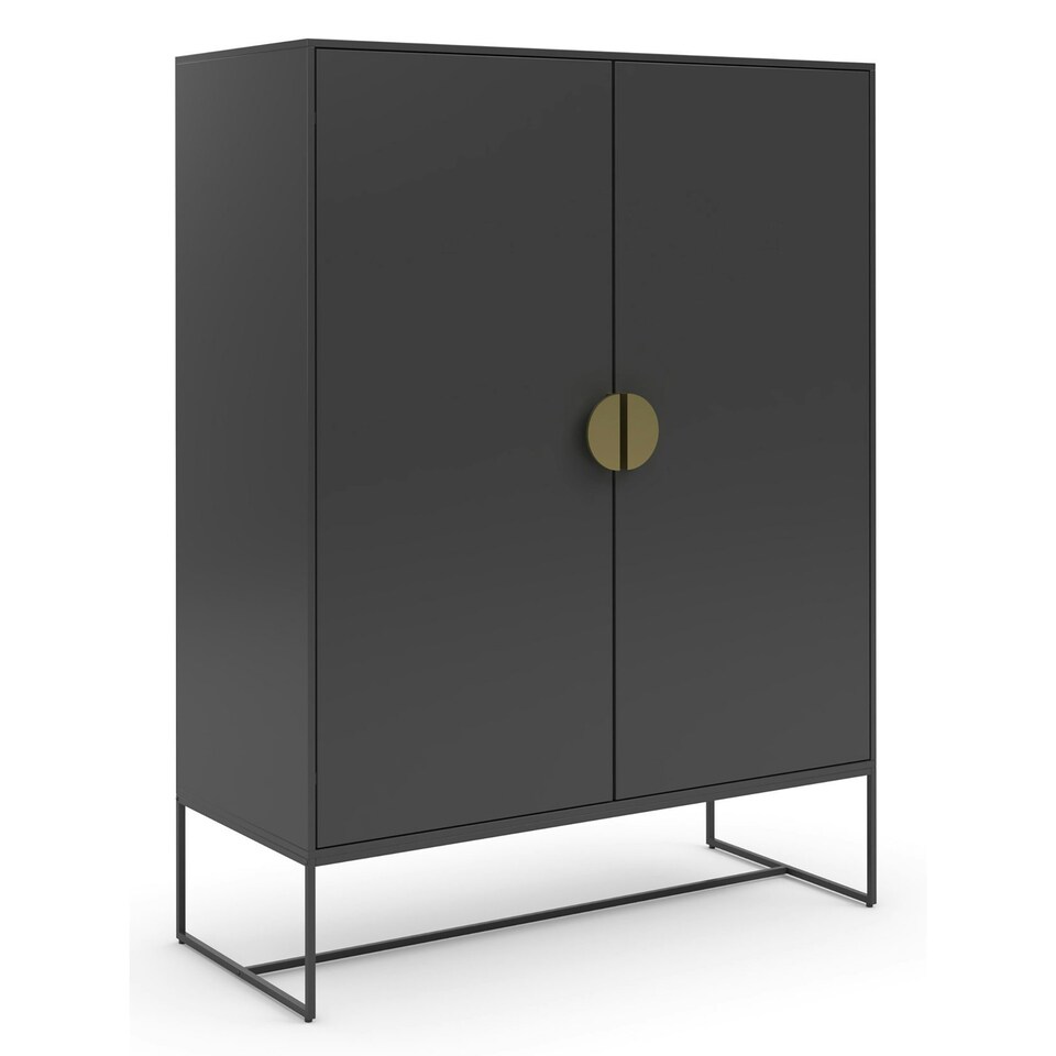 image 1 of Asia Cabinet with 2 Doors in Anthracite Grey | Anthracite