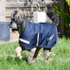 image 2 of Rhinegold Waterproof Dog Coat Gold | XXXL