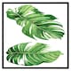 image 2 of Twin botanical leaves (Picture Frame) Brown | Oak | M