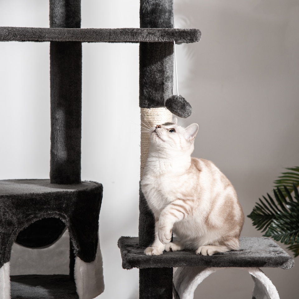 image 1 of PawHut Kitten Tower Adjustable 240-260cm, Scratch Posts, Houses