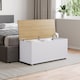 image 1 of Vida Designs Arlington Storage Ottoman Bedroom Hallway Chest Bench, White & Oak | White | White