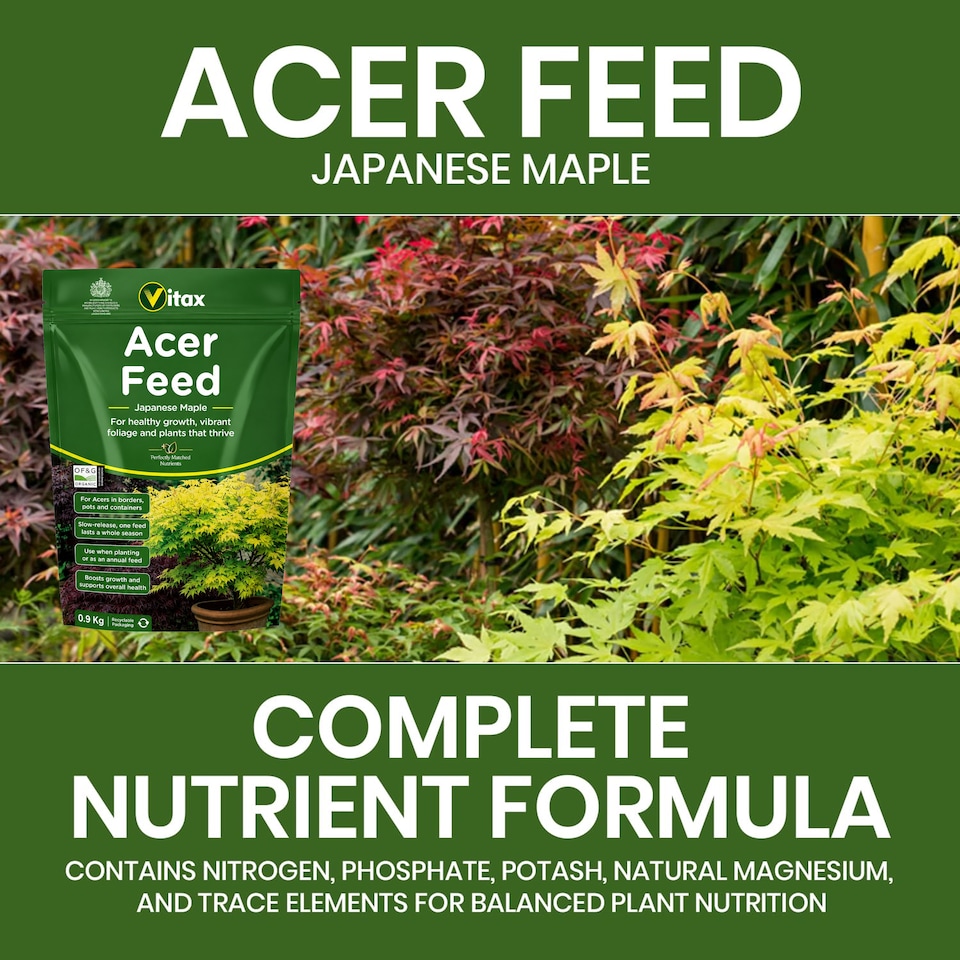 image 1 of Vitax Acer Feed Japanese Maple Tree Organic Plant Feed Healthy Growth Vibrant Foliage 0.9kg