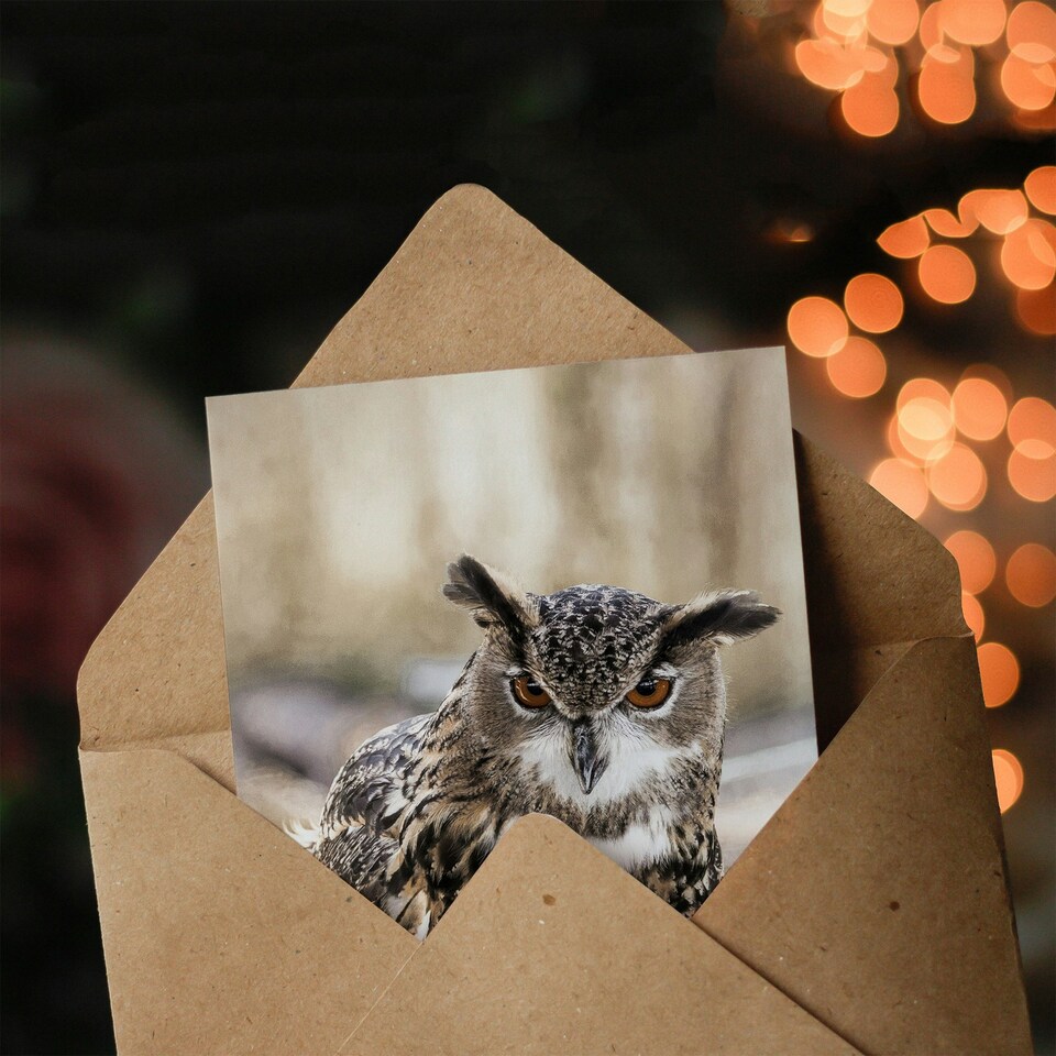 image 1 of Carol M Highsmith Art Card Long Eared Owl Perched On A Rock