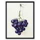 image 1 of Jean Bernard Framed Wall Art Print Bunch of Blue Grapes Oil Painting Home Décor