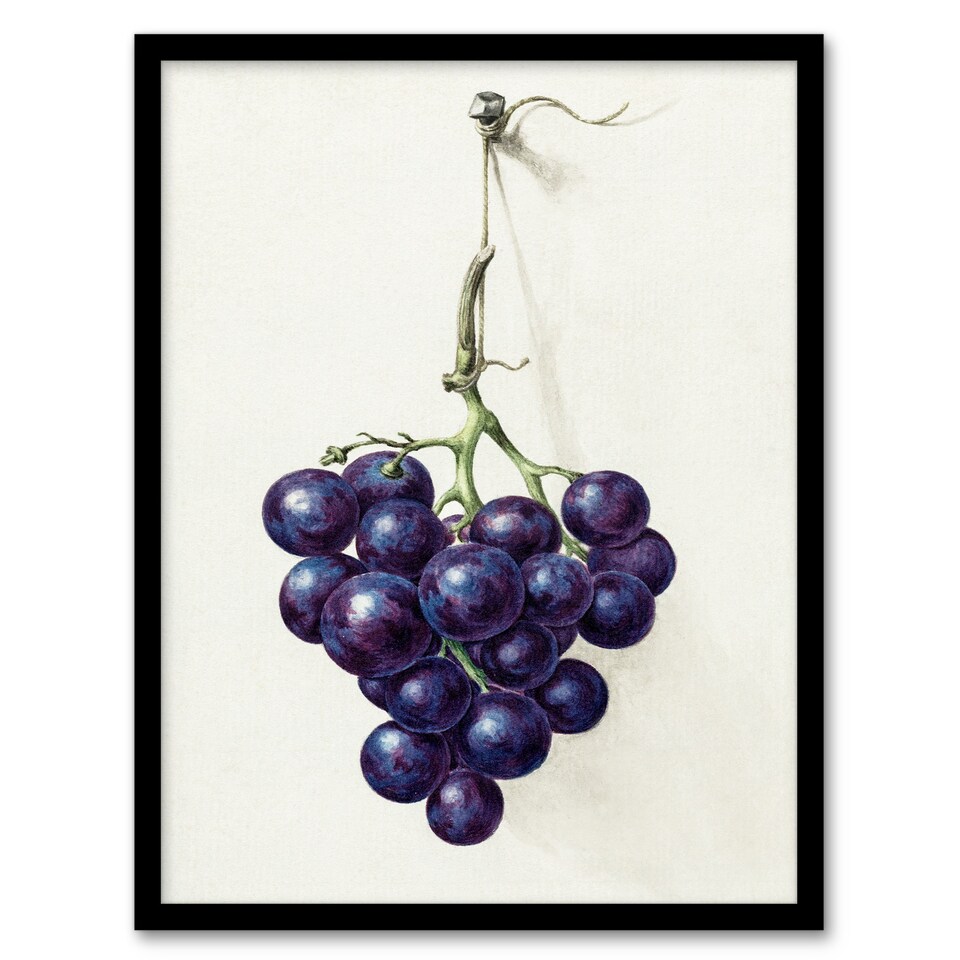image 1 of Jean Bernard Framed Wall Art Print Bunch of Blue Grapes Oil Painting Home Décor