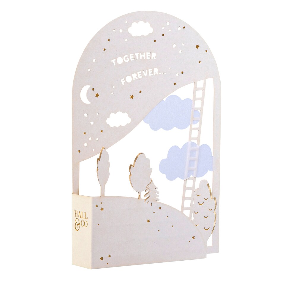 Paper Fable Hallmark Hall And Co Premium 'Together Forever' Card -3D - Paper Fables ...