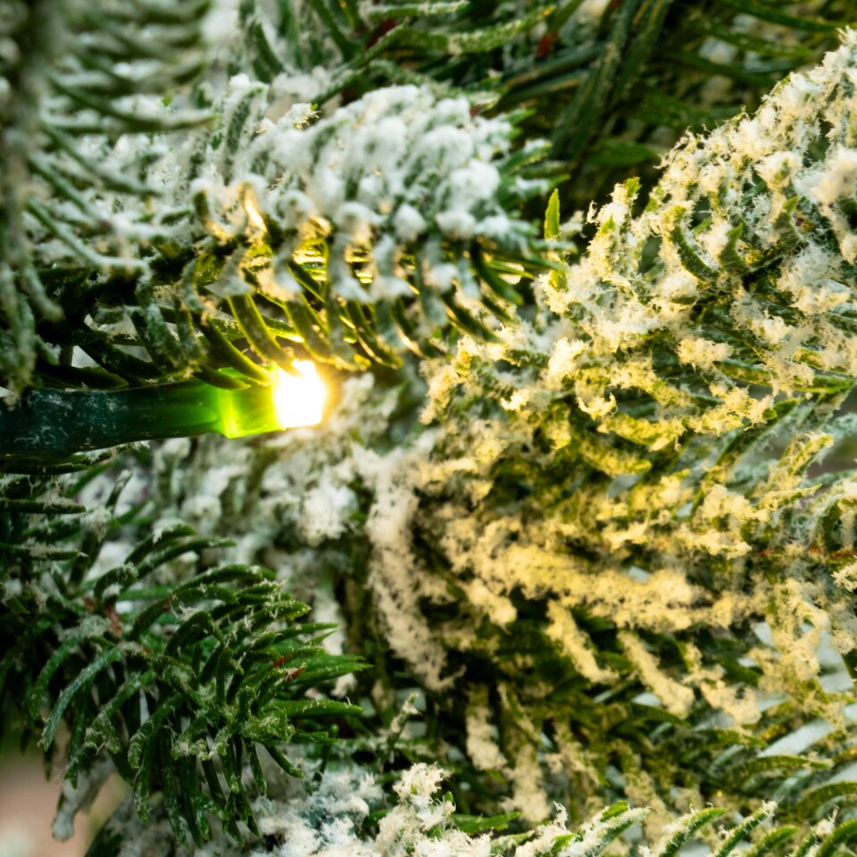 image 1 of Christmas Tree World  6ft/180cm Pre-lit Frosted Ultra Mountain Pine