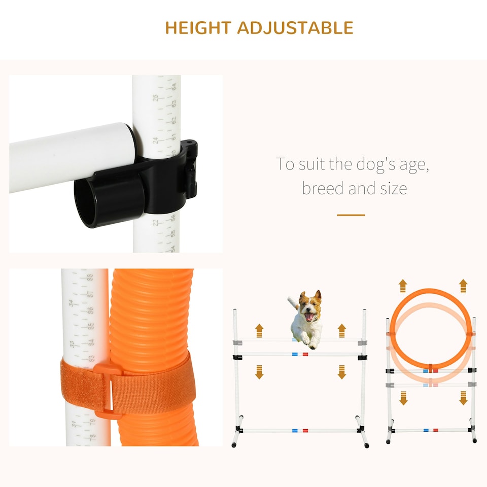 image 1 of 3-Piece Suit Agility Set for Dog Training Exercise Adjustable Obedience