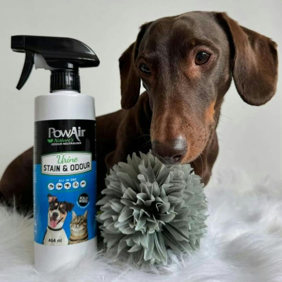 image 1 of PowAir All-In-One Pet Stain & Odour Eliminator Spray 464ml