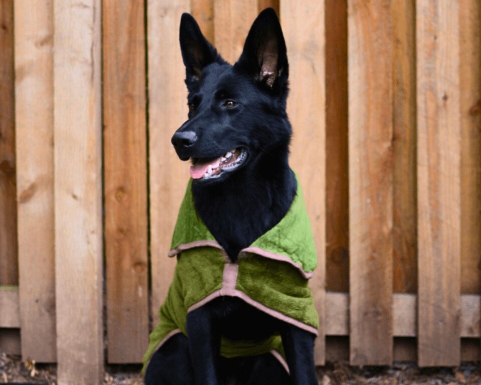 image 1 of Henry Wag Refresh Olive Green Drying Coat Provides Warmth And Assists With Drying Your Dogs Coat Post Bath Time Or After Walks, Size Small 40cm | Green | Olive Green | S | 1