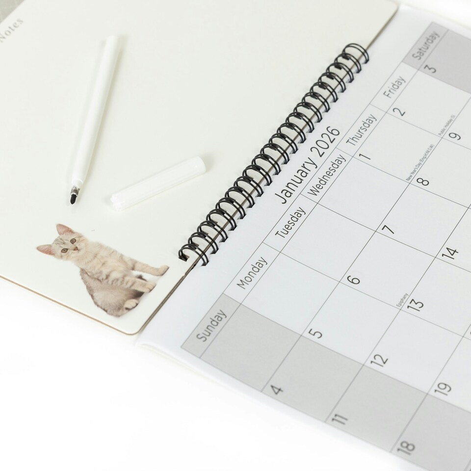 image 1 of 2026 Monthly Memo Board Calendar & Pen Kitten 2 Design