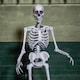 image 8 of 5ft (1.5m) Full Body Halloween Standing Skeleton with Posable Joints & Red LED Eyes