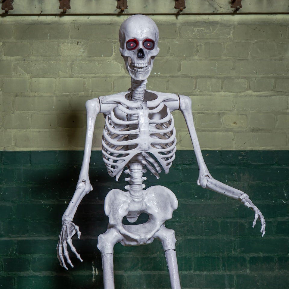 image 1 of 5ft (1.5m) Full Body Halloween Standing Skeleton with Posable Joints & Red LED Eyes
