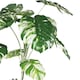 image 2 of 210cm Variegated Monstera Realistic Artificial Tree