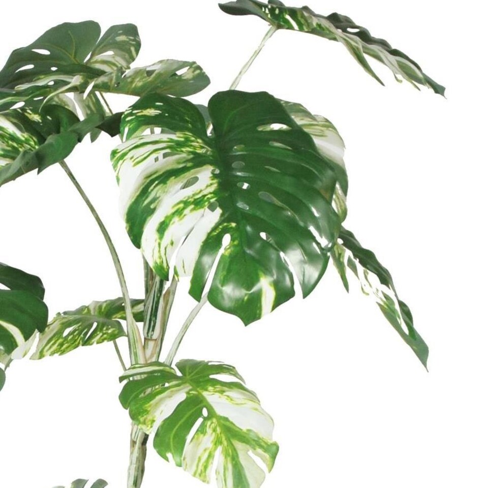 image 1 of 210cm Variegated Monstera Realistic Artificial Tree