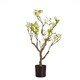 image 1 of 70Cm Tabletop Real Touch Magnolia Tree Cream