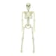 image 1 of 90cm Skeleton