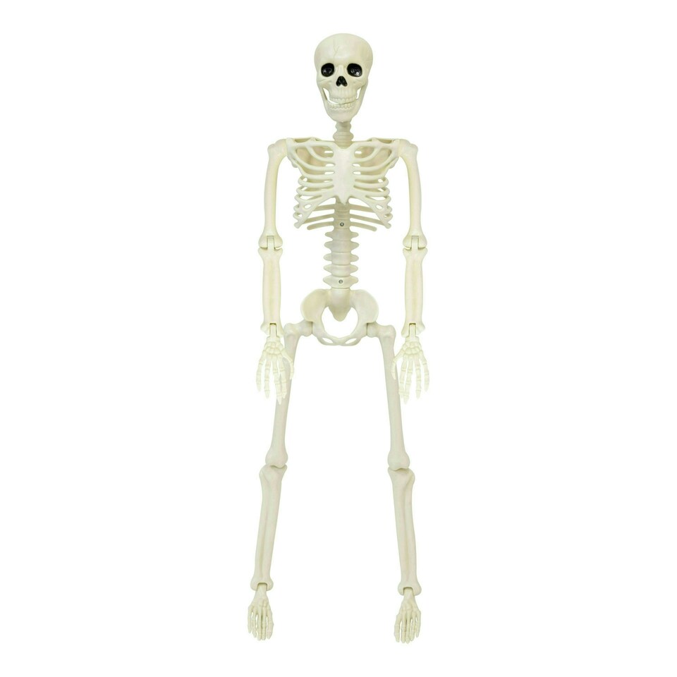 image 1 of 90cm Skeleton