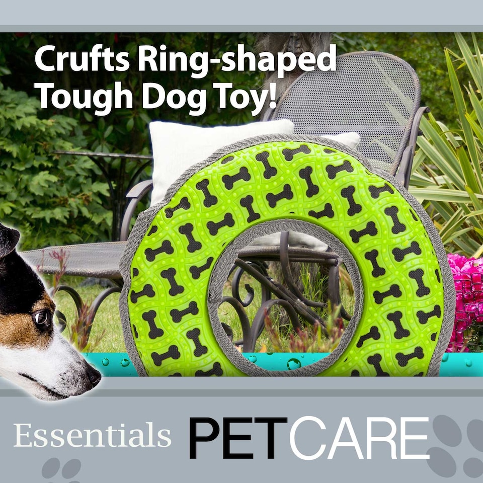 image 1 of Crufts Tough Ring Dog Toy with Squeaker, Durable Chew-Resistant Fetch Toy