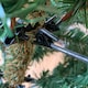image 3 of Everlands 150cm (5ft) Green Grandis Fir Real Look Christmas Tree 1038 Tips