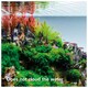 image 5 of King British Holiday Food Block 16g