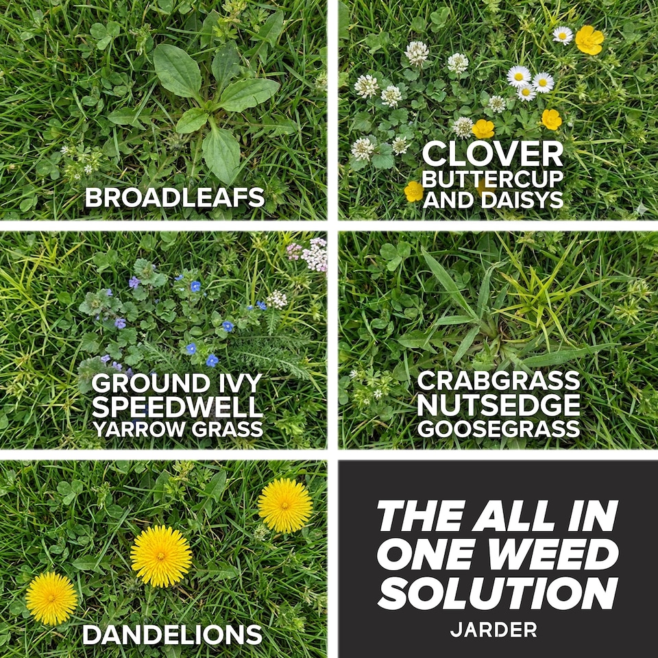 image 1 of Jarder Weed and Feed Lawn Treatment 3kg
