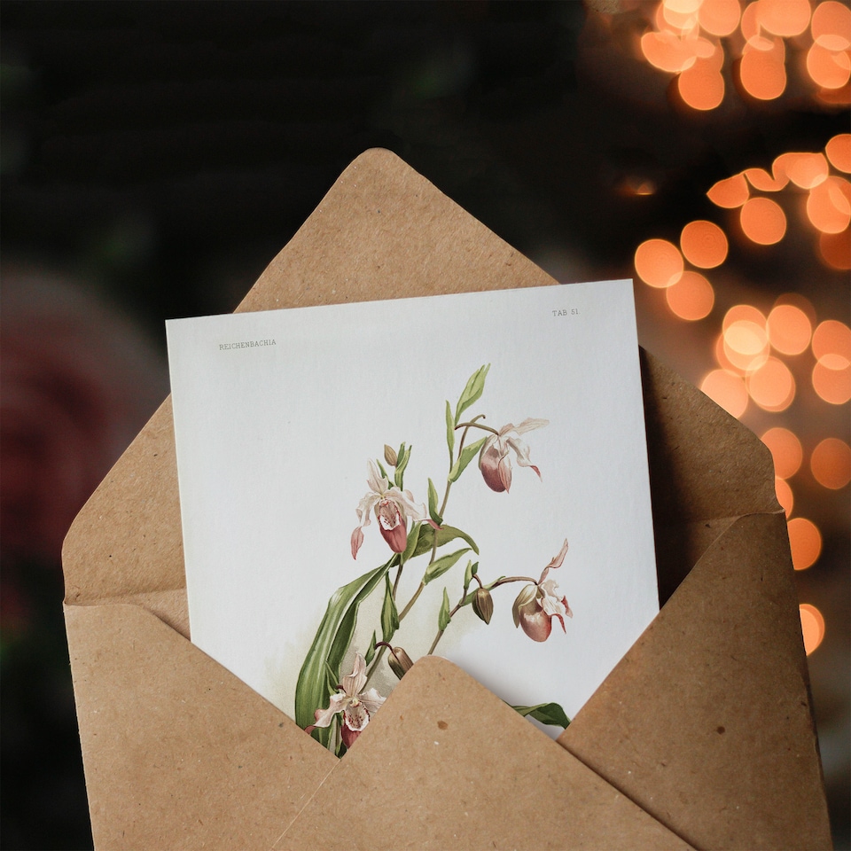 image 1 of Frederick Sander Selenipedium Weidlichianum Orchid Art Greeting Card