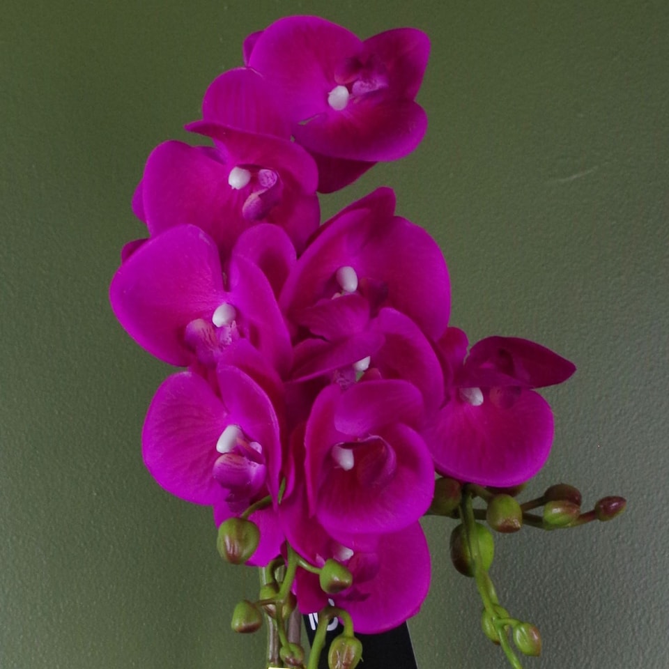 image 1 of Artificial Orchid Plant Dark Pink Gold Pot 54cm Botanik