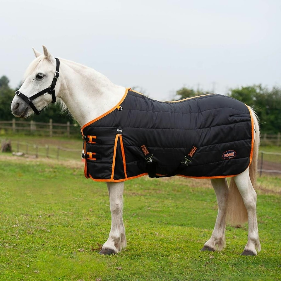image 1 of Gallop Equestrian Ponie 100 Stable Rug Black | Size: 4ft 0
Colour: Black