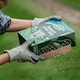 image 4 of Westland Natural Lawn Rescue Bundle large 400m2
