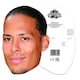 image 3 of Virgil van Dijk Cardboard Face Mask