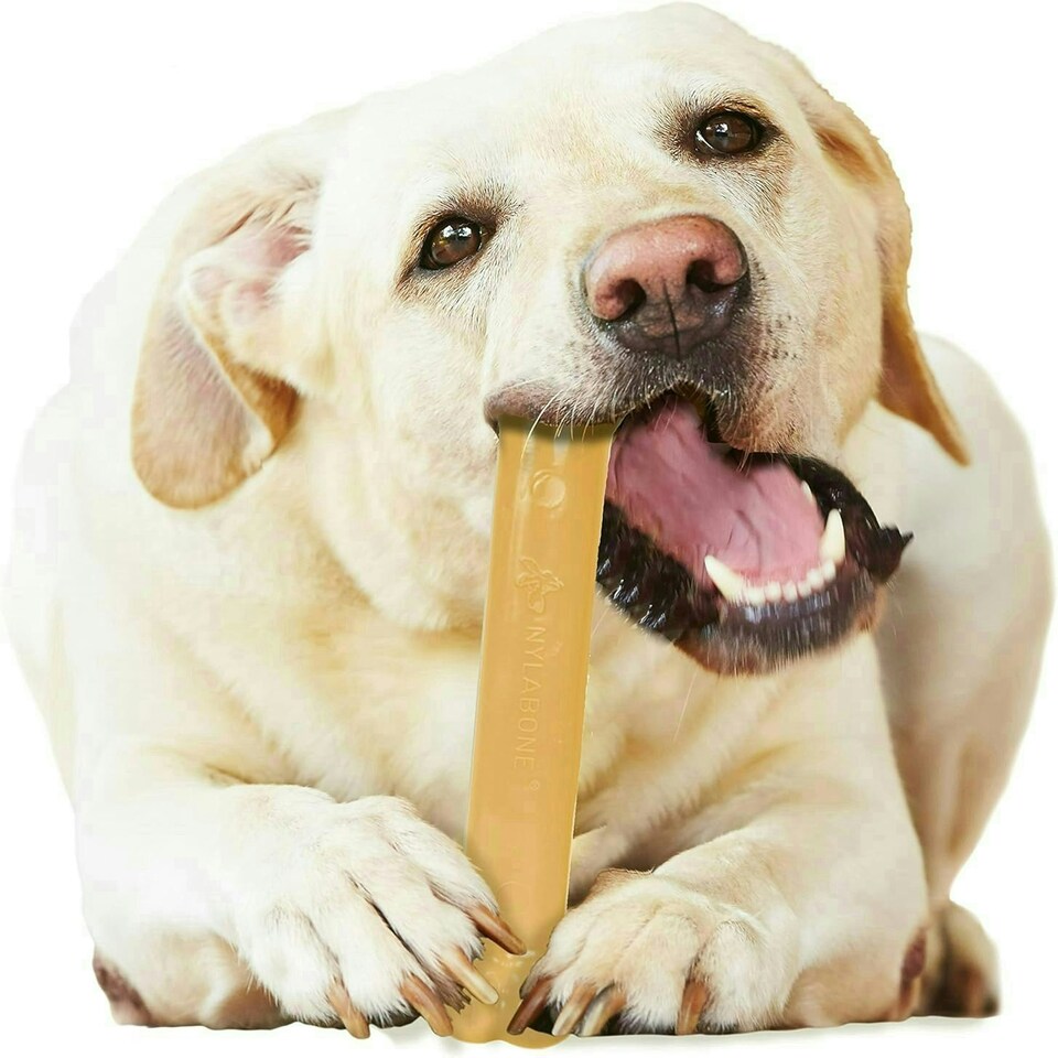 image 1 of Nylabone Dura Chew Extreme Tough Dog Chew Toy Bone, Allergen Free Peanut Butter Flavour, L, for Dogs Up to 23 kg