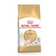 image 1 of Royal Canin Sphynx Adult Dry Cat Food High-Energy Kibble - 10 kg