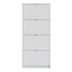 image 2 of Shoes Shoe Cabinet 4 Flip Down Doors and 1 layer in White