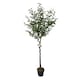 image 8 of True Products Premium Artificial Olive Tree 170cm Tall Green | One Size