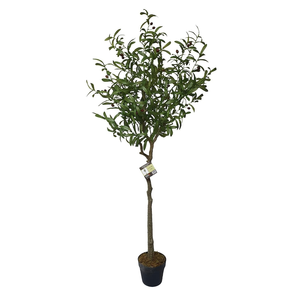 image 1 of True Products Premium Artificial Olive Tree 170cm Tall Green | One Size