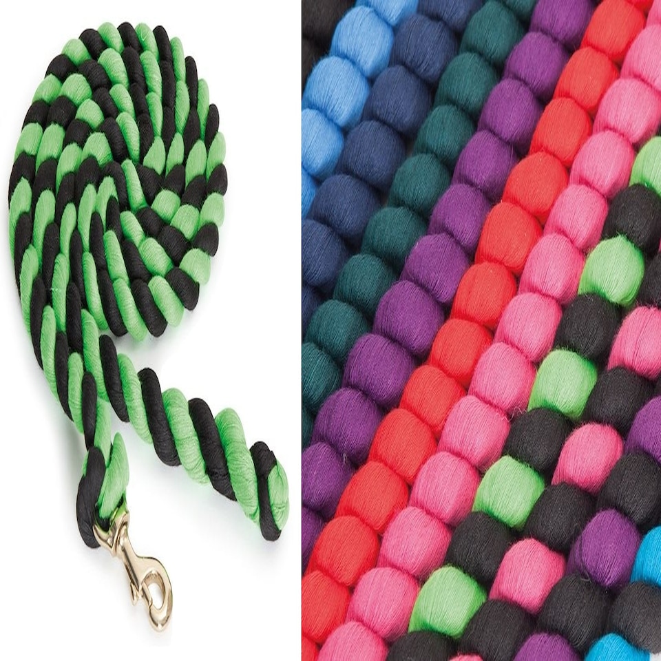 image 1 of Shires Headcollar Lead Rope With Trigger Clip Black | Colour: Black/Purple
Size: One Size