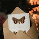 image 3 of Sherman Denton Art Card Darling Underwing Moth Illustration