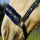image 4 of Rhinegold Crystal Star Headcollar & Rope Set Green | Size: Full
Colour: Navy/Green