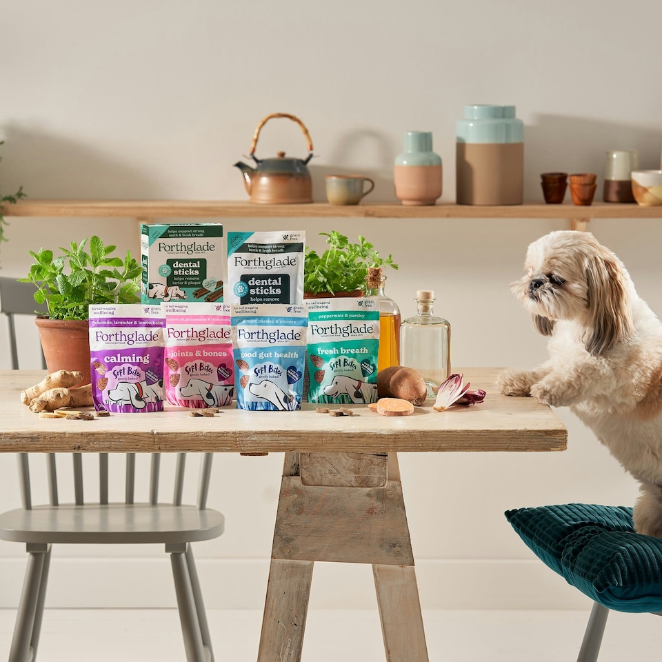 image 1 of Parsley, Ginger & Chicory Digestive Soft Bite Dog Treats (8x90g)