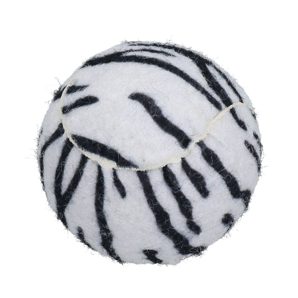 image 1 of 6PK Doggy Jungle Themed Standard Tennis Balls for Dogs Play 7cm