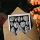 image 3 of Ernst Haeckel Art Card Acephala Mollusks Clams Oysters