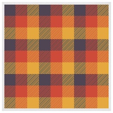 Orange check pattern (Picture Frame) White | S