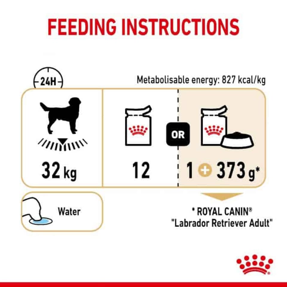 image 1 of Royal Canin Labrador Adult Wet Dog Food - 40 x 140 g Pouches (4 kg) | Multi | 40 x 140g | 1