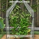 image 3 of Outsunny Tomato Greenhouse with 2 Zipped Doors, Outdoor Green House, Clear
