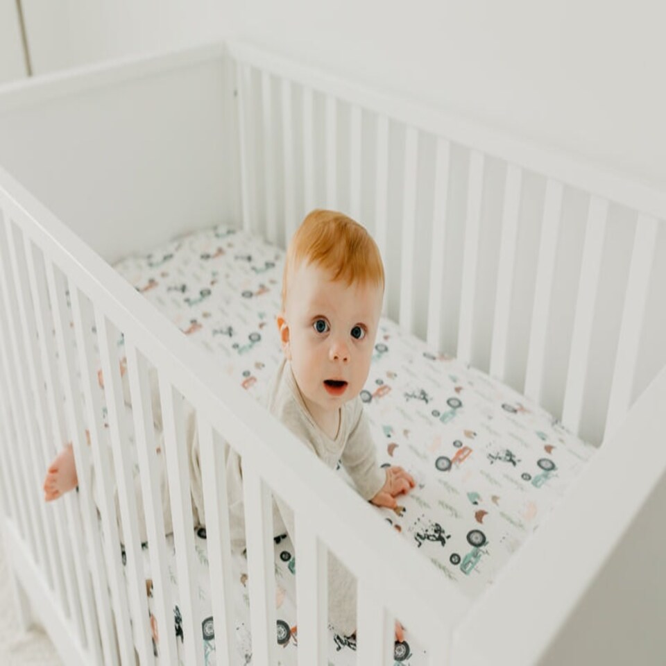 image 1 of Copper Pearl Premium Elasticised Cot Sheet Jo