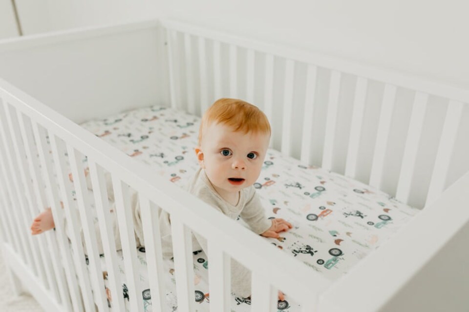 image 1 of Copper Pearl Premium Elasticised Cot Sheet Jo