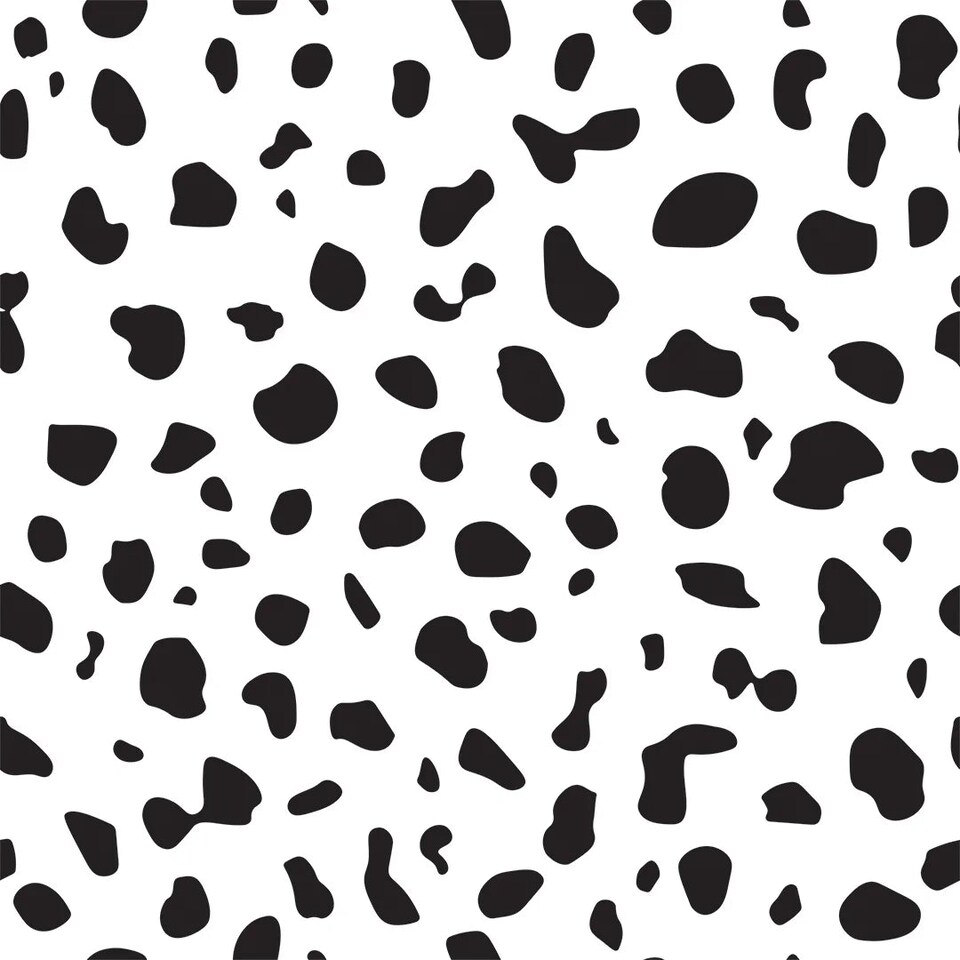 Sample of Lots of Spots Wallpaper Black and White | White | White